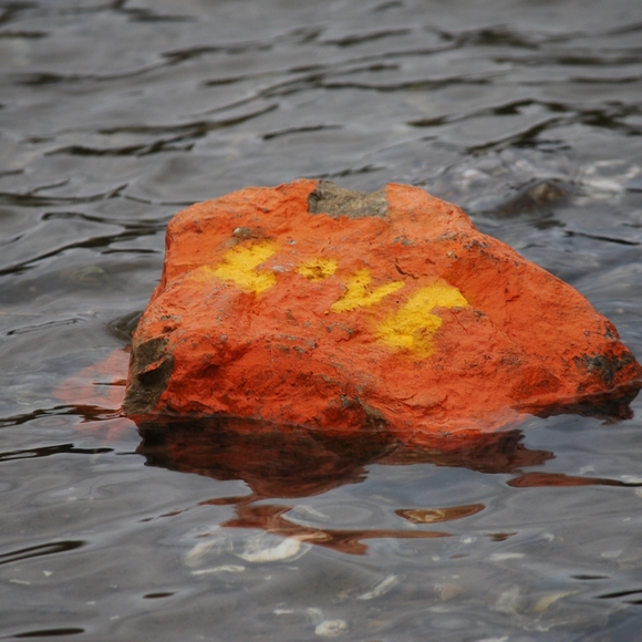 Meet your Posher, Tracey - Picture 3 of 6